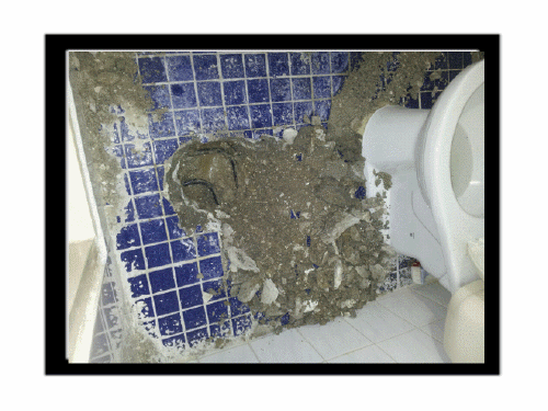 new_2012-06-21 15.38.03.gif